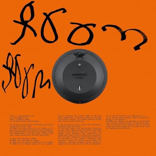 Boom Boom [Vinyl LP] von Public Possession