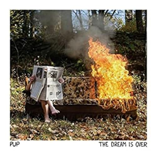 Dream Is Over [Vinyl LP] von Pup