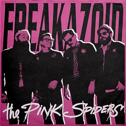 Freakazoid [Vinyl LP] von Pure Noise (Membran)