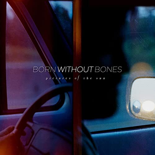 Pictures of the Sun [Vinyl LP] von Pure Noise Records