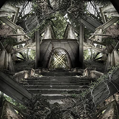 Crux [Vinyl LP] von Pure Noise
