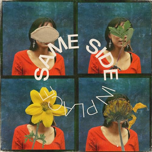 In Place [Vinyl LP] von Pure Noise