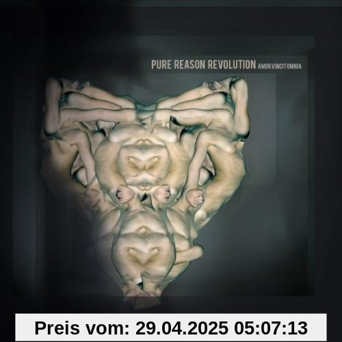 Amor Vincit Omnia von Pure Reason Revolution