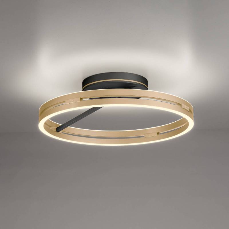 PURE LED-Deckenlampe Loop messing/schwarz Metall Ø 60 cm CCT von Pure