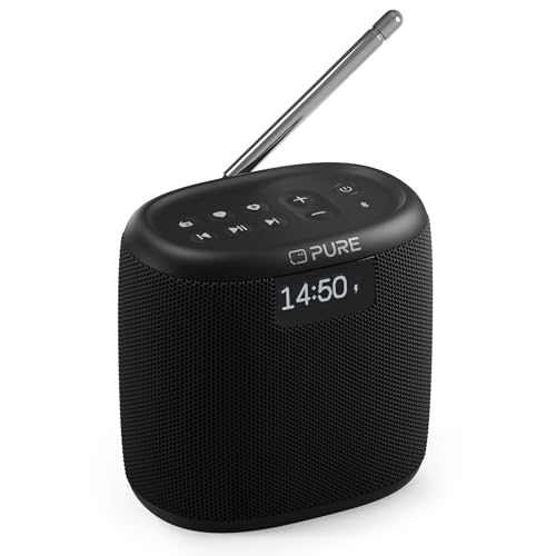 Pure Woodland Mini Outdoor Lautsprecher mit Bluetooth & DAB+/FM Radio (wasserdicht IP67, robust, tragbar, 14h Akku, perfekt für Garten & Camping) Schwarz von Pure