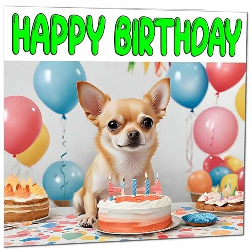 Chihuahua-Geburtstagskarte – lustige Hunde-Geburtstagskarte – 145 x 145 mm von Purple Fox