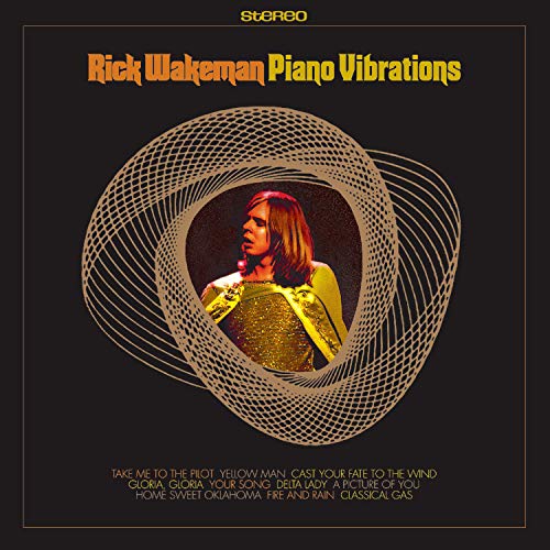 Piano Vibrations [Vinyl LP] von Purple Pyramid (Membran)