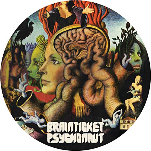 Psychonaut [Vinyl LP] von Purple Pyramid