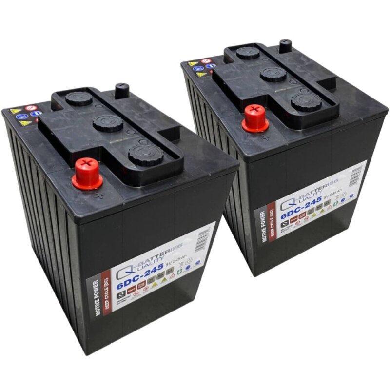 2x Q-Batteries 6DC-245 6V 245Ah Deep Cycle Traktionsbatterie von Q-Batteries