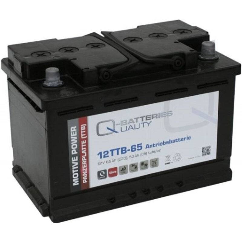 Q-Batteries 12TTB-65 12V 65Ah (C20) geschlossene Blockbatterie, positive Röhrchenplatte von Q-Batteries