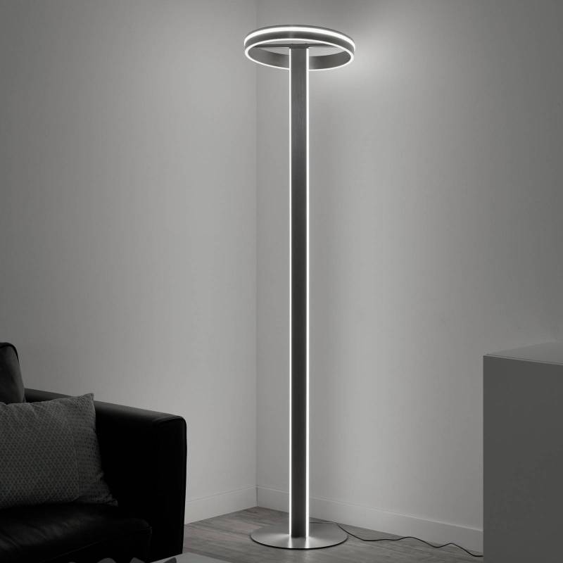 Paul Neuhaus Q-Vito LED-Stehlampe, gerade mit Ring von Q-Smart-Home