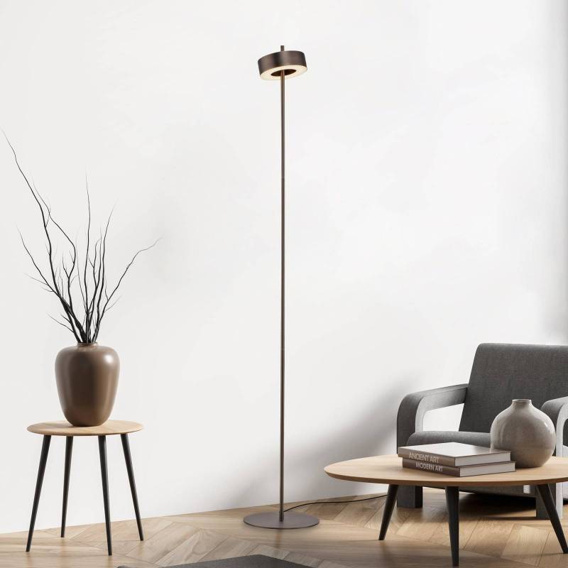 Paul Neuhaus Smart-LED-Stehlampe Q-Rotate dunkelbraun 140 cm von Q-Smart-Home