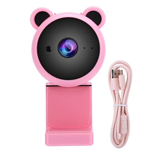 QANYEGN 1080p HD USB Full HD -Webcam, Computerkamera mit Mikrofon-, digitaler Videoaufzeichnungs -Webkamera für Live -Sendung (Rosa) von QANYEGN