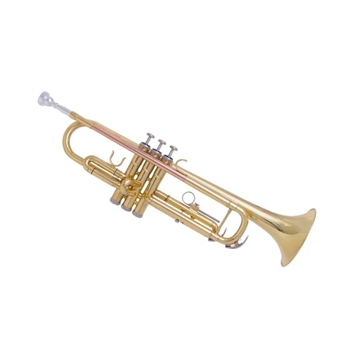 Alt-Trompete für Anfänger mit Messingkorpus Musikinstrument Trompete von QASKLBN