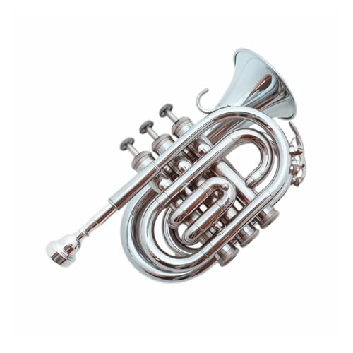 B-Blech-Mini-Trompete für Anfänger Musikinstrument Trompete von QASKLBN