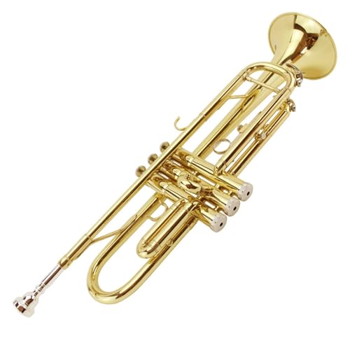 B-Trompete Anfänger Profi-Bühneninstrument Musikinstrument Trompete von QASKLBN