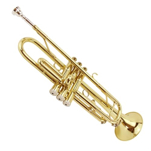 B-Trompete Anfänger Profiinstrument Musikinstrument Trompete von QASKLBN