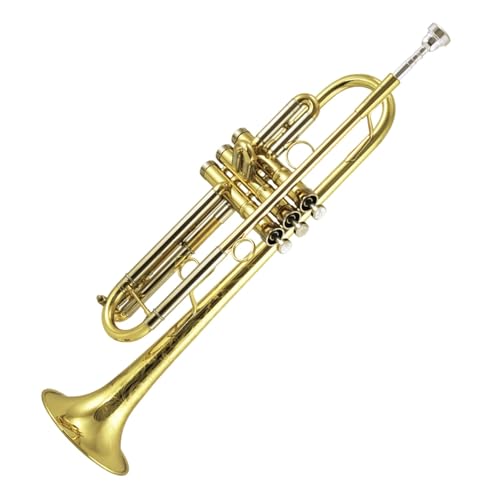 B-Trompete ein für Anfänger geeignetes Instrument Musikinstrument Trompete von QASKLBN
