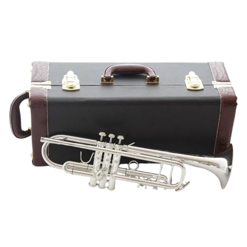 B-Trompete versilbert Anfänger professionelles Musikinstrument Musikinstrument Trompete B-Trompete versilbert Anfänger professionelles Musikinstrument Musikinstrument Trompete von QASKLBN