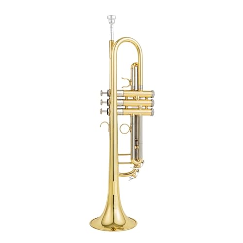 Bb flache professionelle Trompete Musikinstrument Geeignet für Anfänger Musikinstrument Trompete von QASKLBN