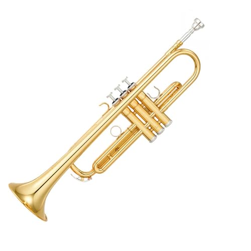 Geeignet für Erwachsene B-Dur professionelles Trompeteninstrument Musikinstrument Trompete von QASKLBN