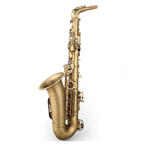 Professional Instruments Brass Altsaxophon-Set Saxophon für Anfänger von QASKLBN