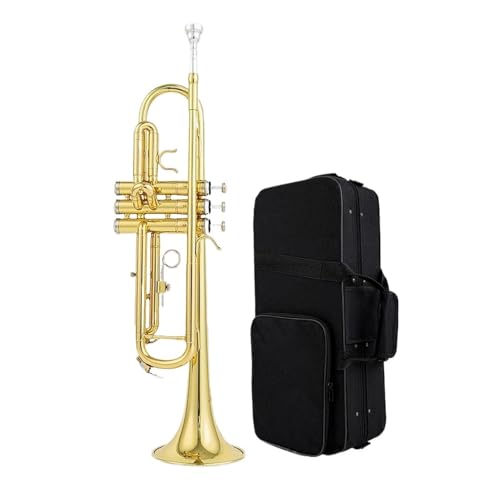 Professionelle Trompete B-Dur Blechblasinstrument für Anfänger Musikinstrument Trompete von QASKLBN