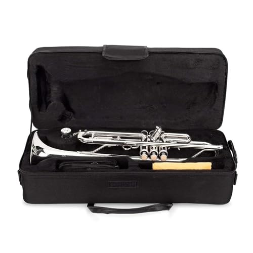 Professionelles Anfänger-Trompeten-Blechblasinstrument geeignet für Erwachsene Musikinstrument Trompete von QASKLBN
