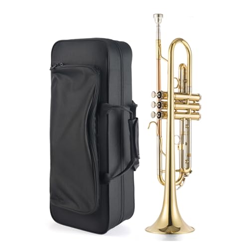 Professionelles B-Trompeten-Musikinstrument geeignet für Erwachsene Musikinstrument Trompete von QASKLBN