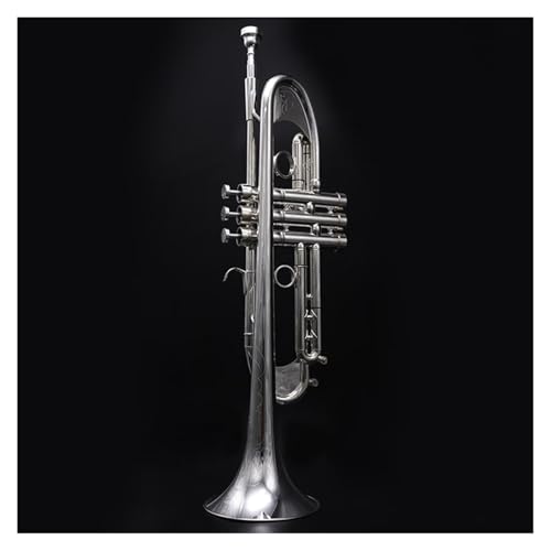 Professionelles B-Trompeteninstrument geeignet für erwachsene Anfänger Musikinstrument Trompete von QASKLBN