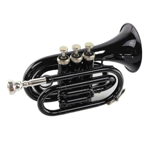 Professionelles Einsteigerinstrument B-Mini-Trompete Musikinstrument Trompete von QASKLBN