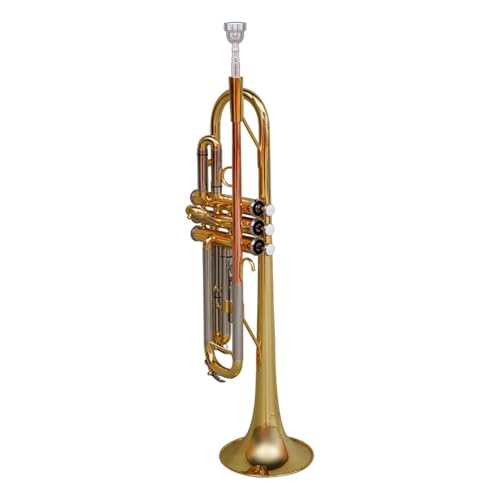 Professionelles Trompeteninstrument für Anfänger in B-Dur Musikinstrument Trompete von QASKLBN