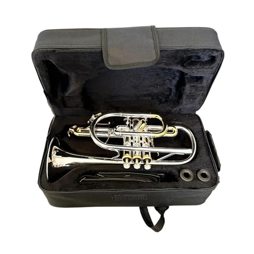 QASKLBN BB-Tonart Trompetenkörper aus Messing geeignet für das Üben mit Erwachsenen Musikinstrument Trompete von QASKLBN