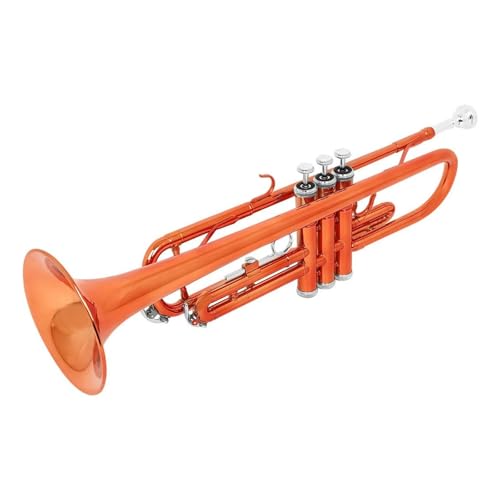 QASKLBN Blechblasinstrument Trompete B für Anfänger geeignet Musikinstrument Trompete von QASKLBN