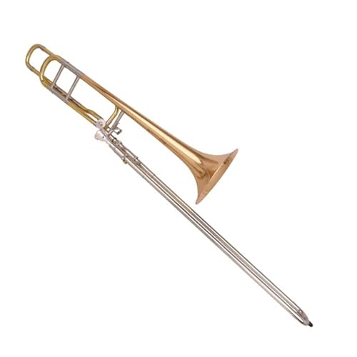 QASKLBN Tenor Anfängerinstrument B-Posaune Profi Professionelle Posaune von QASKLBN