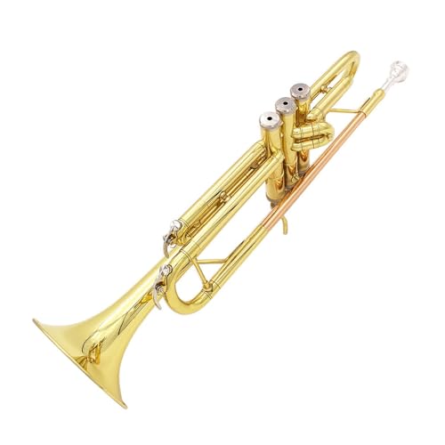Trompete B-Blech Anfänger Übungsinstrument Musikinstrument Trompete von QASKLBN