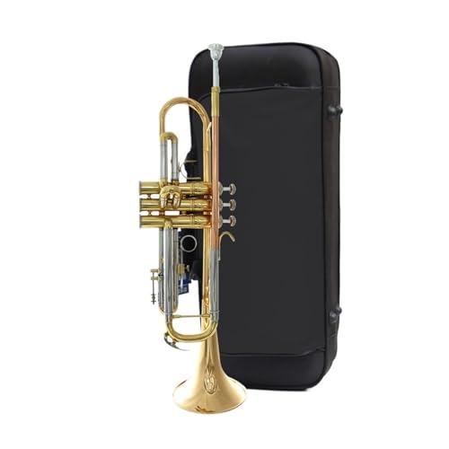 Trompete B-Dur Anfänger Blechblasinstrument Musikinstrument Trompete von QASKLBN