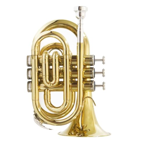 Trompeteninstrument Anfänger B-Dur Profi-Kornett Musikinstrument Trompete von QASKLBN