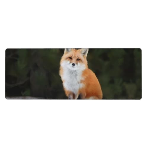 QGWDYYJQ Mauspad mit lustigem Fuchs-Motiv, 30 x 80 cm, Tastatur-Pad, Schreibtisch-Schutz-Pad QGWDYYJQ Mauspad mit lustigem Fuchs-Motiv, 30 x 80 cm, Tastatur-Pad, Schreibtisch-Schutz-Pad von QGWDYYJQ