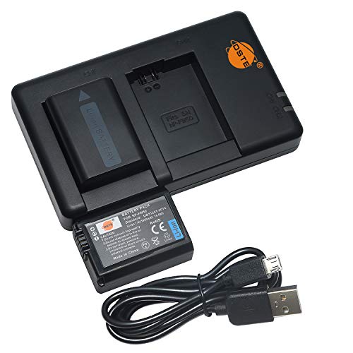 DSTE NP-FW50 Lithium-Akku (7,4 V, 1950 mAh, 2 Packungen) und Dual-Ladegerät, kompatibel mit Sony Alpha 7, A7, Alpha 7R, a7R, Alpha 7R II, Alpha a3000, a6000, NEX-7, SLT-A55V, DSC-RX10 Digitalkamera von QIAOJINLIN