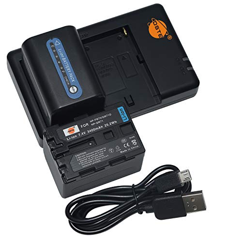 NP-FM70 Lithium-Batterie (2 Pack) und Dual-Ladegerät kompatibel mit Sony DCR-PC115 DCR-PC120 as NP-QM71D NP-QM71 von QIAOJINLIN
