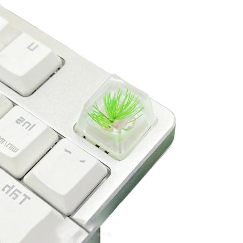 QINZITAO Harz-Tastenkappe mit hoher Transparenz für mechanische Tastaturen mit elegantem Kiefernblüten-Design QINZITAO Harz-Tastenkappe mit hoher Transparenz für mechanische Tastaturen mit elegantem Kiefernblüten-Design von QINZITAO
