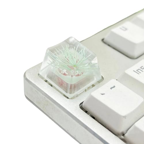 QINZITAO Kunstharz-Tastenkappe mit hoher Transparenz für mechanische Tastaturen mit elegantem Kiefernblüten-Design QINZITAO Kunstharz-Tastenkappe mit hoher Transparenz für mechanische Tastaturen mit elegantem Kiefernblüten-Design von QINZITAO