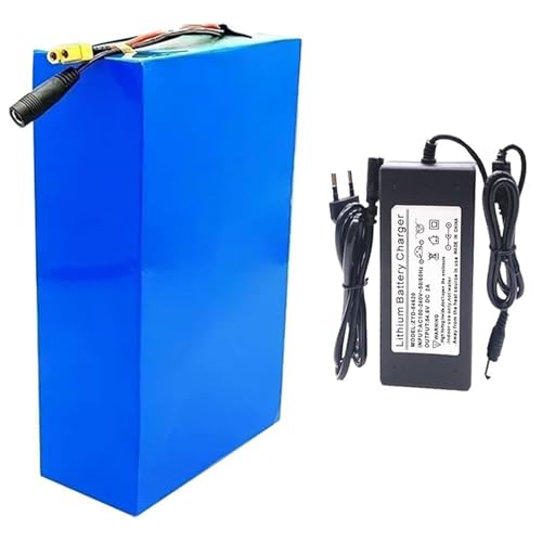 48 V 20 Ah 13S8P Lithium-Ionen-Akku für Elektrofahrräder, integrierter BMS-Schutz mit Ladegerät, ideal für Elektrofahrradmotoren SM 48 V 20 Ah 13S8P Lithium-Ionen-Akku für Elektrofahrräder, integrierter BMS-Schutz mit Ladegerät, ideal für Elektrofahrradmotoren SM von QJWM