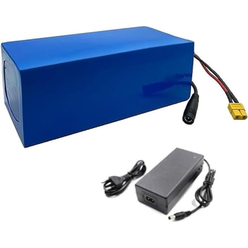 48 V 30 Ah 13S8P Lithium-Ionen-Akku für Elektrofahrräder, integrierter BMS-Schutz mit Ladegerät, ideal für Elektrofahrradmotoren SM von QJWM