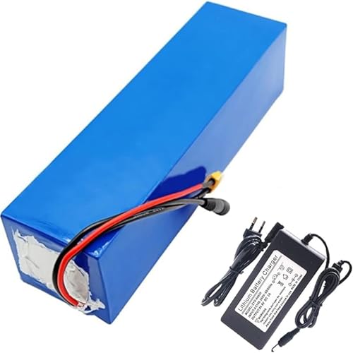 48V 20Ah E-Bike Lithium-Ionen-Akku 13S3P Elektrofahrrad-Roller-Akku Eingebautes BMS mit 54,6V 2A Ladegerät für E-Bike Elektrofahrrad XT60+T 48V 20Ah E-Bike Lithium-Ionen-Akku 13S3P Elektrofahrrad-Roller-Akku Eingebautes BMS mit 54,6V 2A Ladegerät für E-Bike Elektrofahrrad XT60+T von QJWM