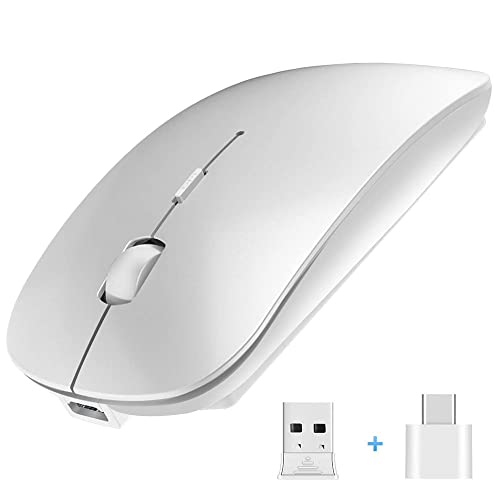 Schlanke kabellose Maus, 2,4 G, leise, Laptop-Maus mit Nano-Empfänger, ergonomische kabellose Maus für Laptop, tragbare optische Maus für Laptop, PC, Computer, für Notebook und Mac (Silber) von QJY