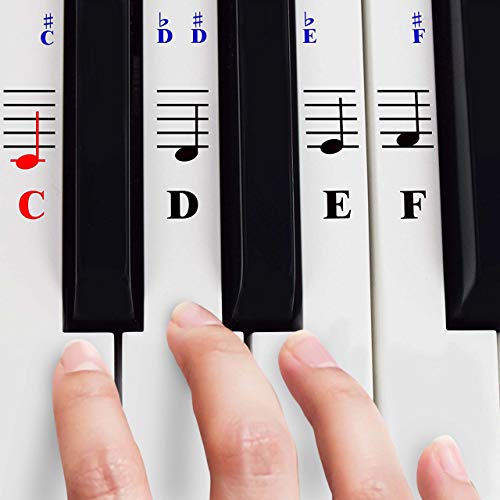 Klavier Aufkleber für 49/61 / 76/88 Key Keyboards – Transparent und abnehmbar mit Klavier EBook kostenlos von QMG