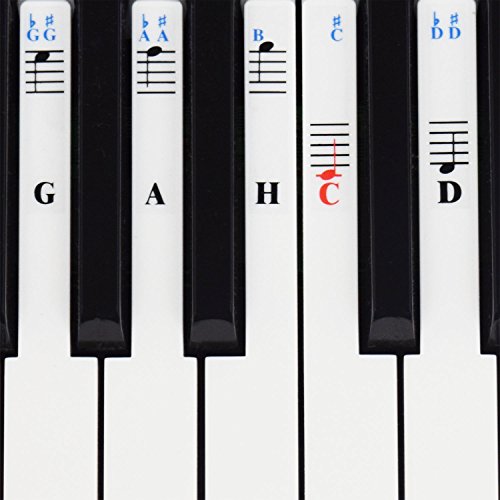 Klavier Aufkleber für 49/61 / 76/88 Key Keyboards – Transparent und abnehmbar von QMG