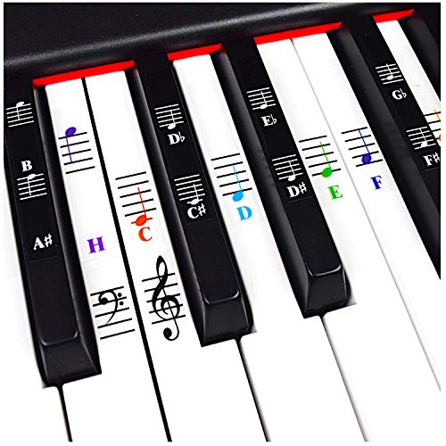 Klavier und Keyboard Musiknoten Ganzes Set Aufkleber für Weiße und Schwarze Tasten; Transparent und Entfernbar von QMG